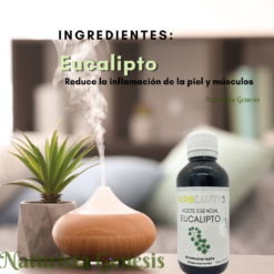 Aceite de Eucalipto | HERBEAUTY | 125 ml | Para Mejorar Tu Respiración