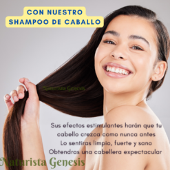 Shampoo De Caballo | El Original |  480 ml | Para El Cuidado De Tu Cabello