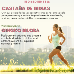 Castaña De Indias + Ginkgo Biloba | 50 Tabletas de 500 mg | Circulación Sanguinea