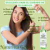 Tónico De Bergamota | FLORIGAN | 250 ml | Crecimiento Del Cabello - Imagen 3