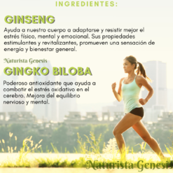 Ginseng Ginkgo Biloba | NaturGen | 60 Tabletas | Nootrópico | Concentración | Vitalidad