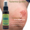 Calendula Spray | Cicadin | 60g | Nordin - Imagen 3