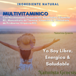 Complejo B y B12 Multivitaminico Natfit