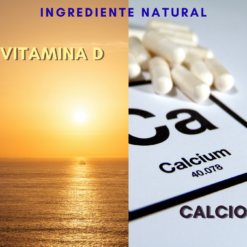 Calcio Y Vitamina D | 60 Capsulas Natfit |