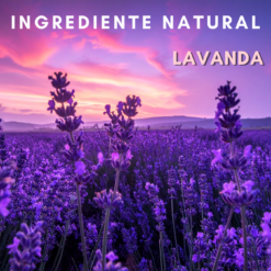Lavanda 60 Cápsulas Natfit