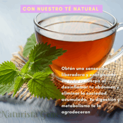 Té Piñalim | Gn+Vida 30 Sobres | 10 Piezas